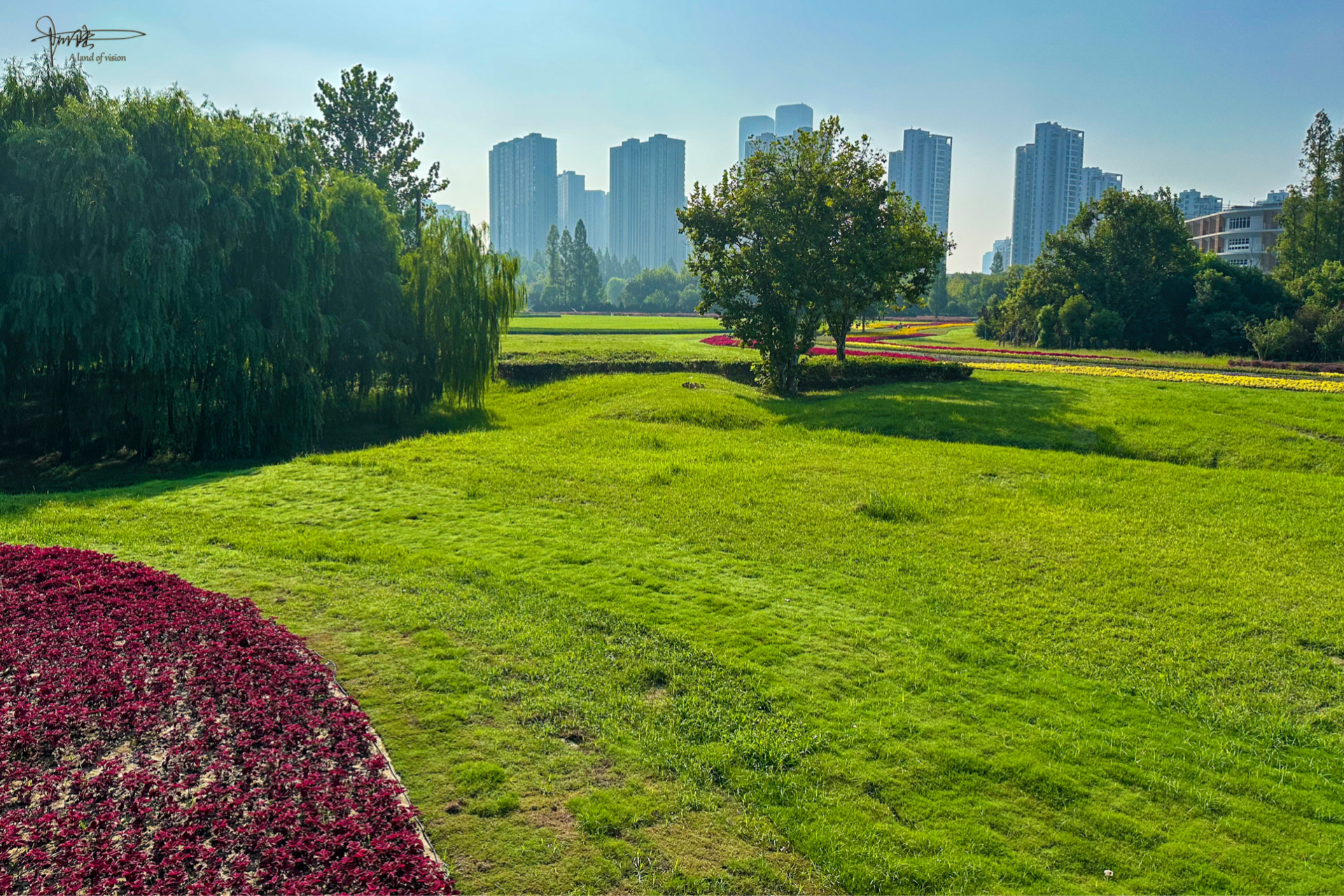奥体中心旁边新增一个免费公园,上帝视角下最好看,夜景相当璀璨