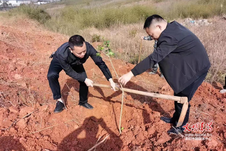 耒阳小水镇开展义务植树主题党日活动