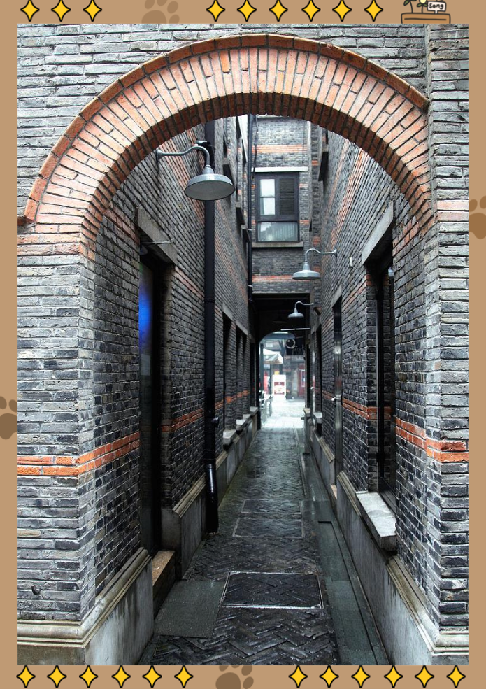 石库门建筑:展现老上海文化与历史的独特风格