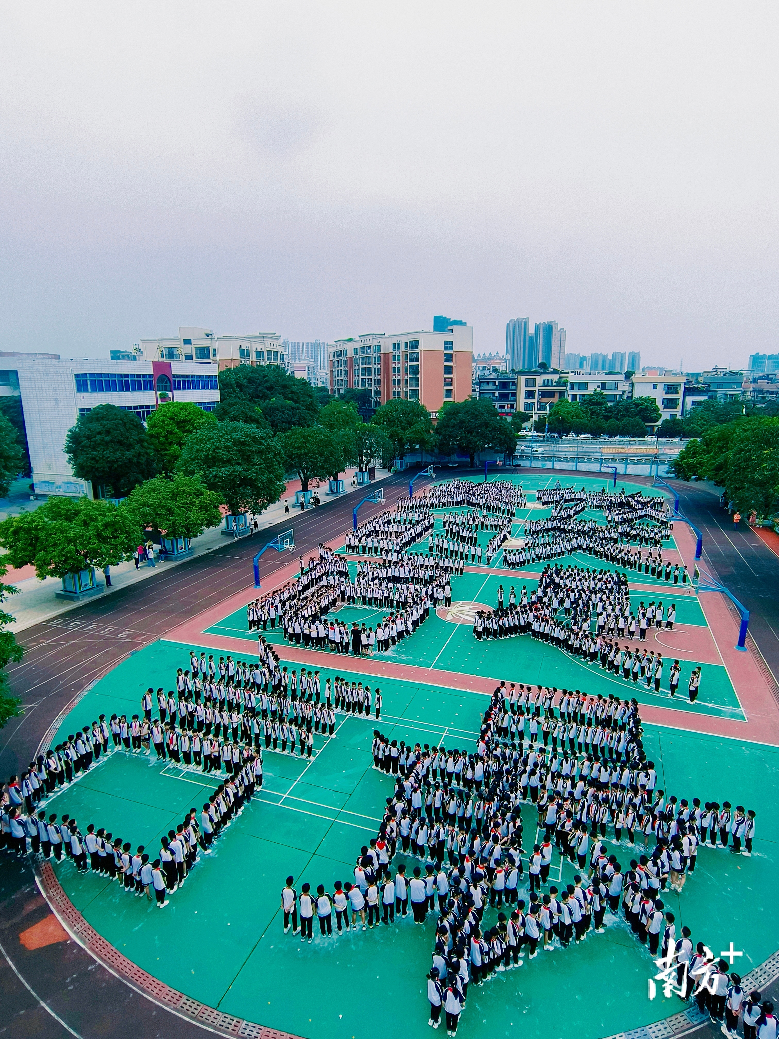 伦教培教小学图片