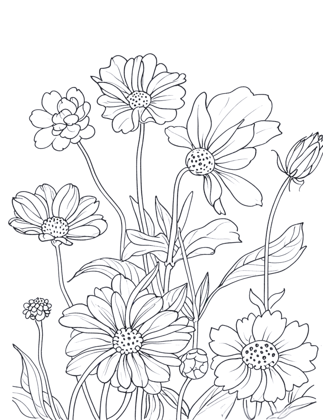 多种花卉黑白线稿简笔画与绘画技巧