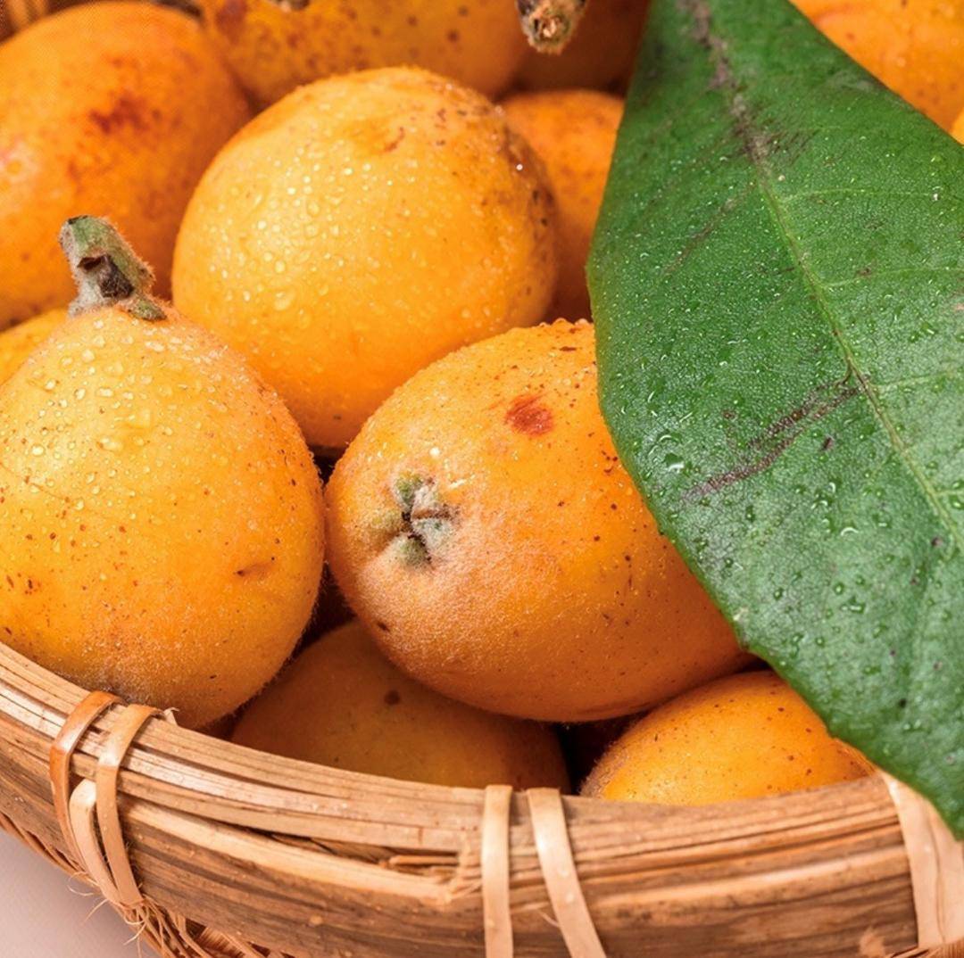 苏州东山白玉枇杷上线叮咚买菜 赏味期仅有半个月