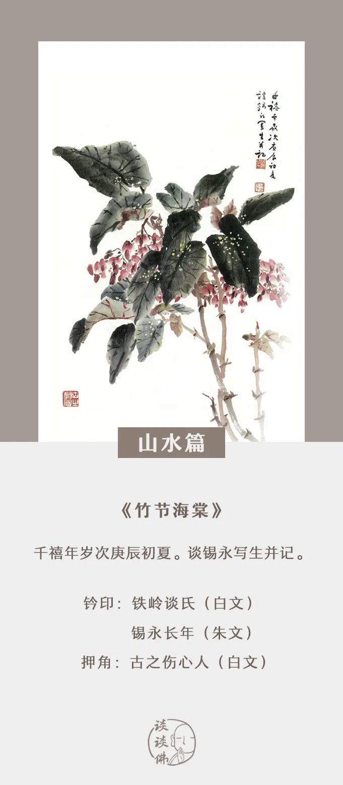 笔墨真境 · 山水篇——《竹节海棠》