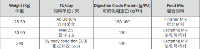 怎么给猪配种，配种管理指南（连载十）,第15图