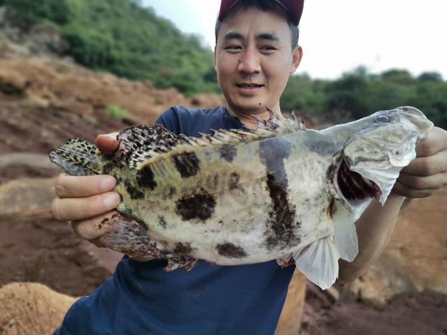 昆明周边柴石滩水库休闲钓,解锁鳜鱼斤鳊青竹鲤米级白条,附路书