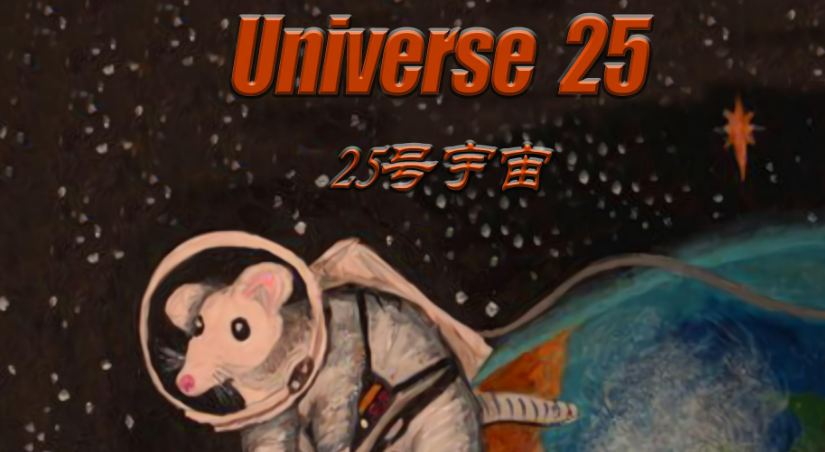 老鼠"乌托邦"实验结果令人唏嘘!人类该何去何从