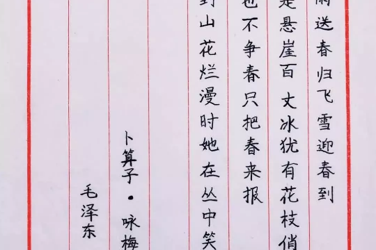 卜算子詠梅硬筆書法作品