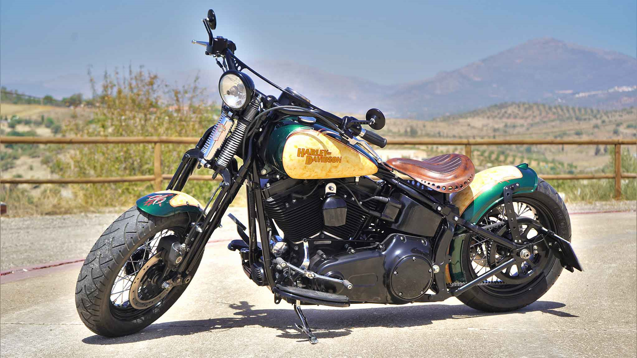 复古bobber 哈雷大弹簧改装欣赏