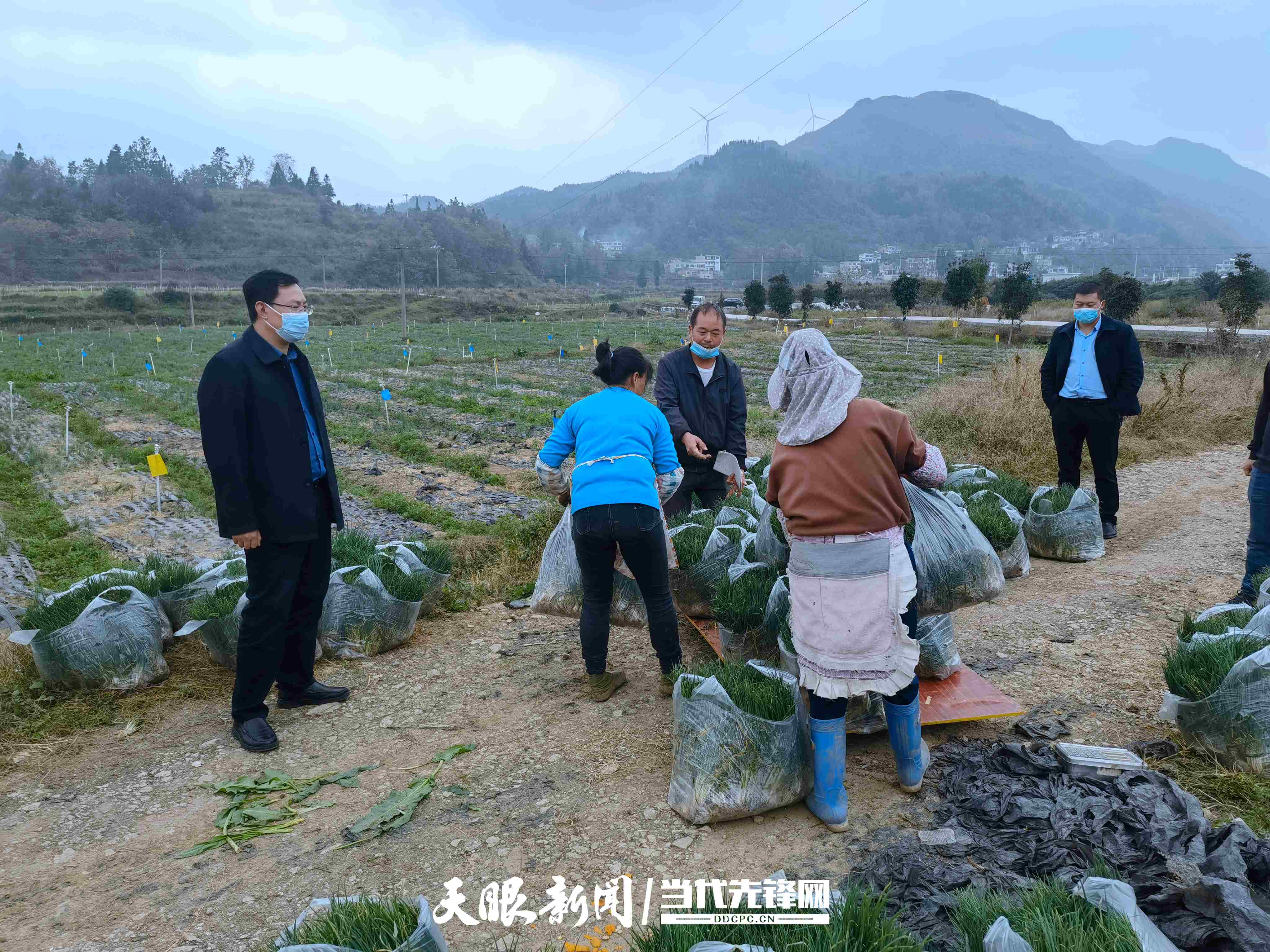 「认真学习贯彻党的二十大精神」织金县上坪寨乡党委书记周能:奋力