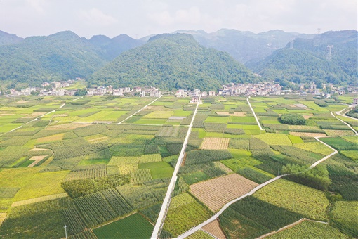 龙山茨岩塘图片