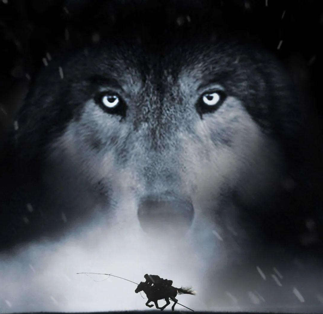 《狼图腾》推荐:一部探讨人与自然,狼性哲学的深度作品