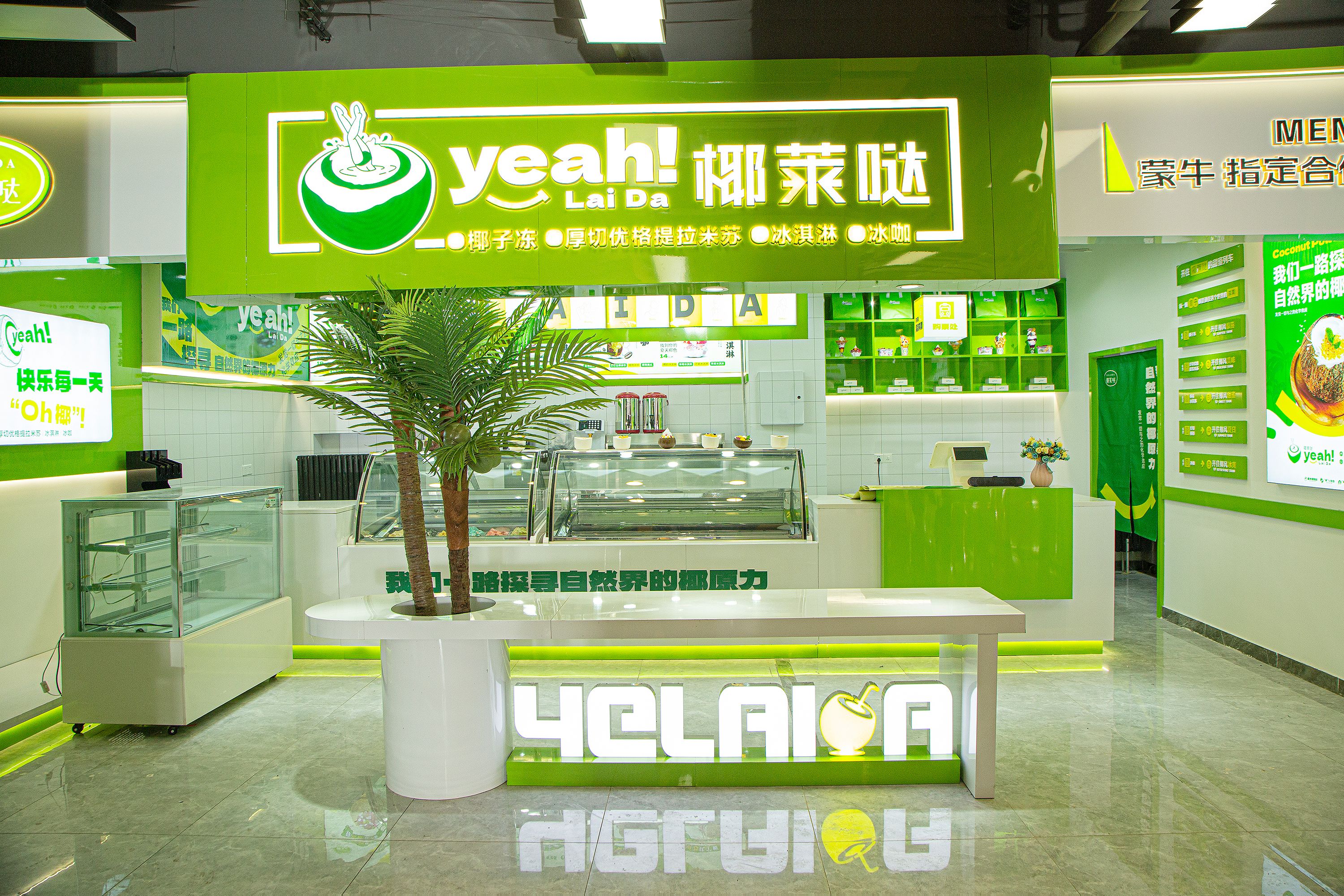 直击年轻消费市场,椰莱哒:椰子甜品在市场站稳脚跟!