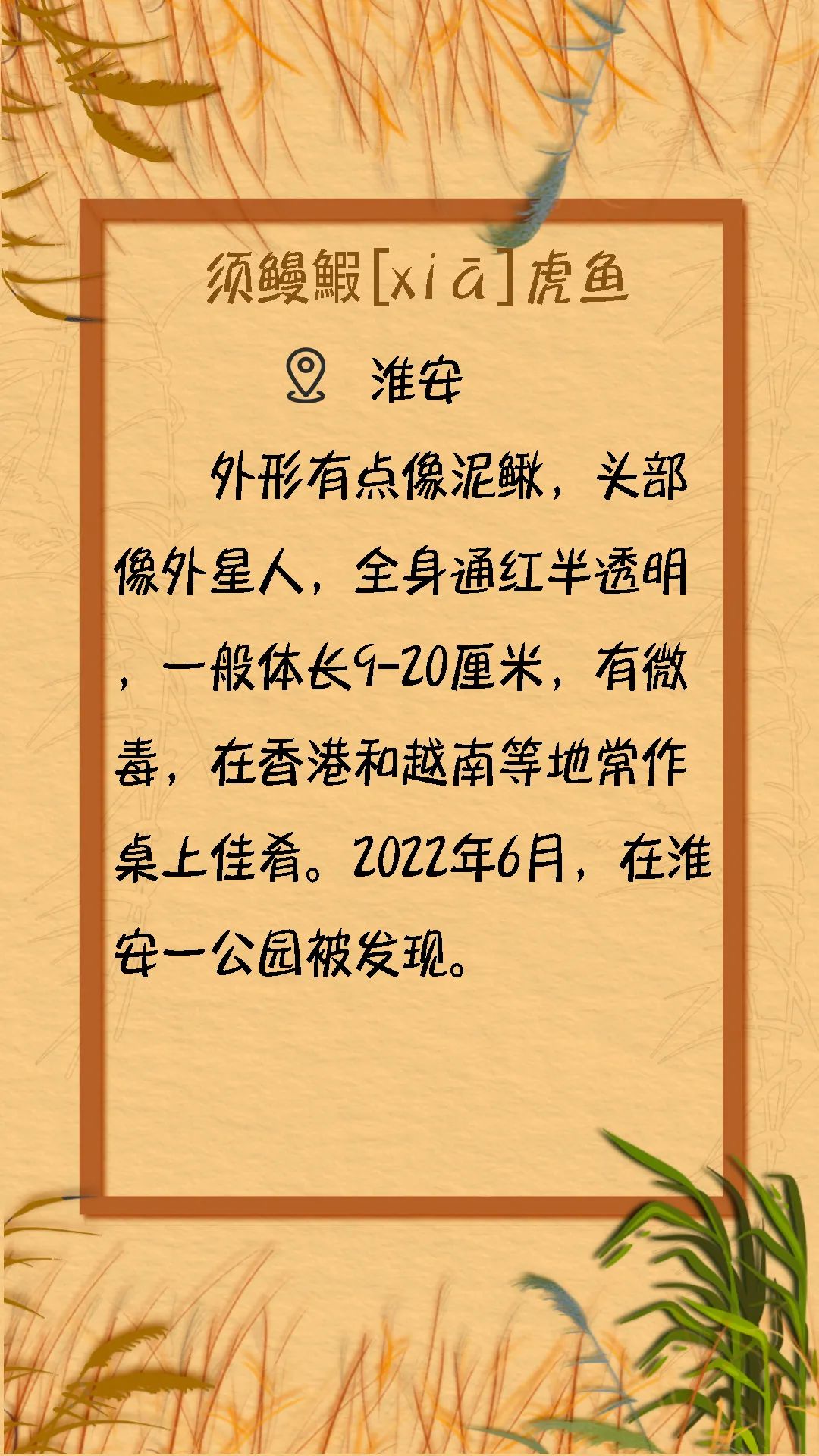 摄> 苏州林业站 供图> 苏州林业站 供图> 阿惠 摄> 南通海底世界 供图