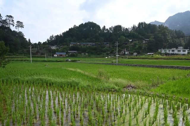 开阳县委书记孙昕到花梨镇调研