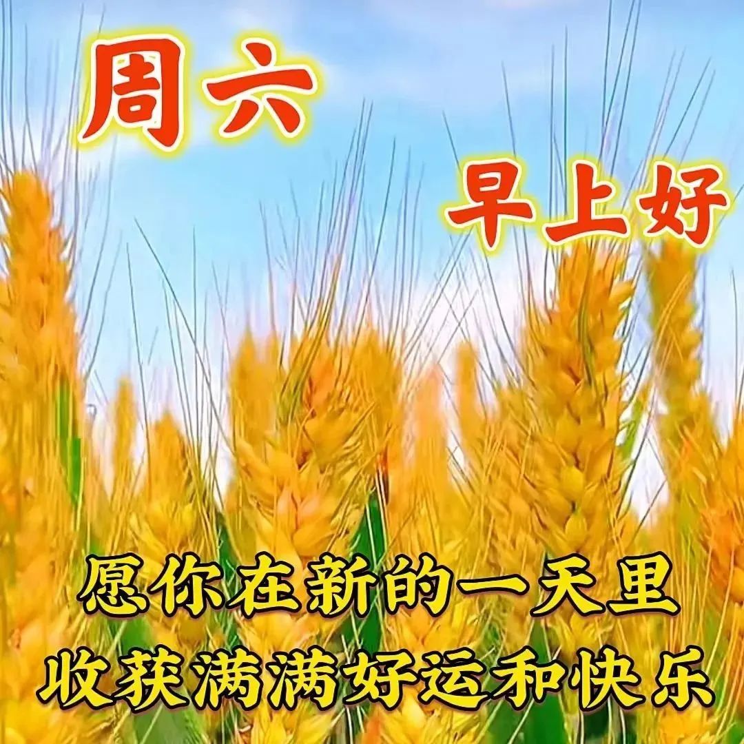 周六早安,温馨祝福图片带字