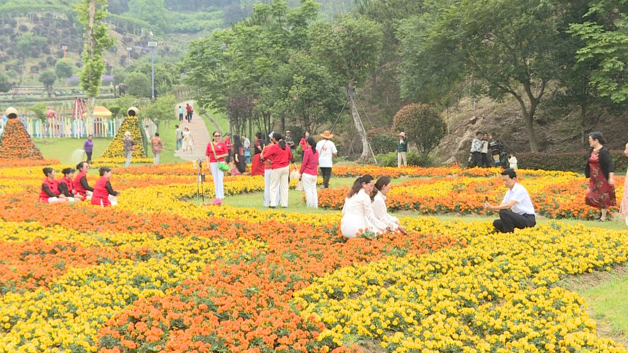 英山四季花海:花香阵阵游人醉 旅游经济热力足