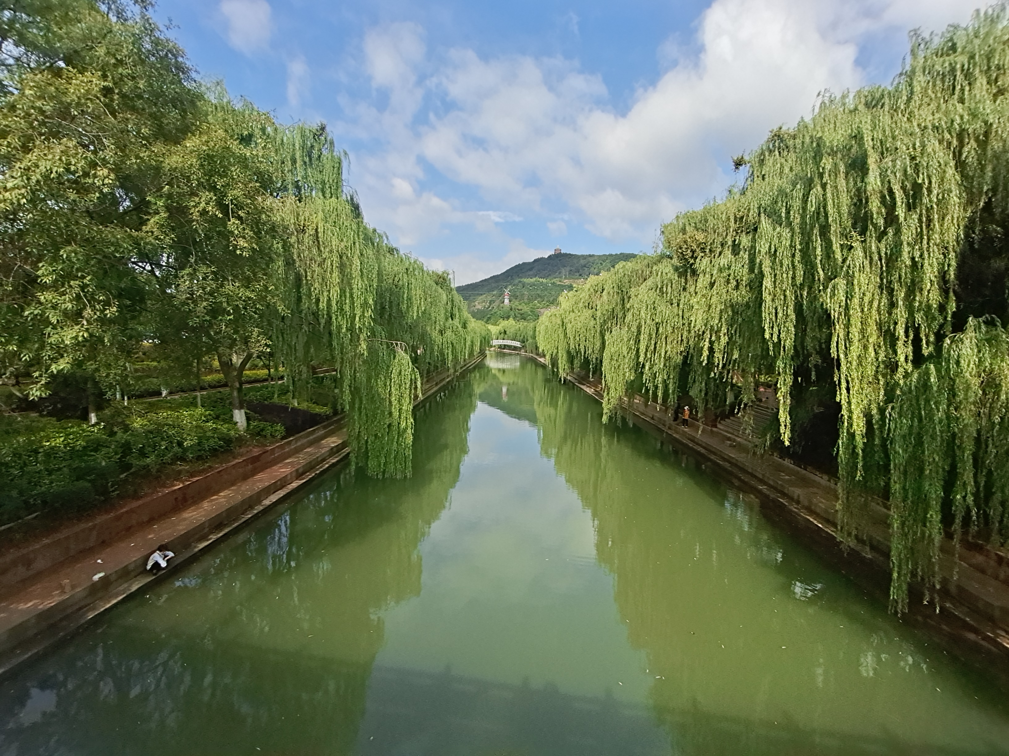 夏天河滨公园景色迷人