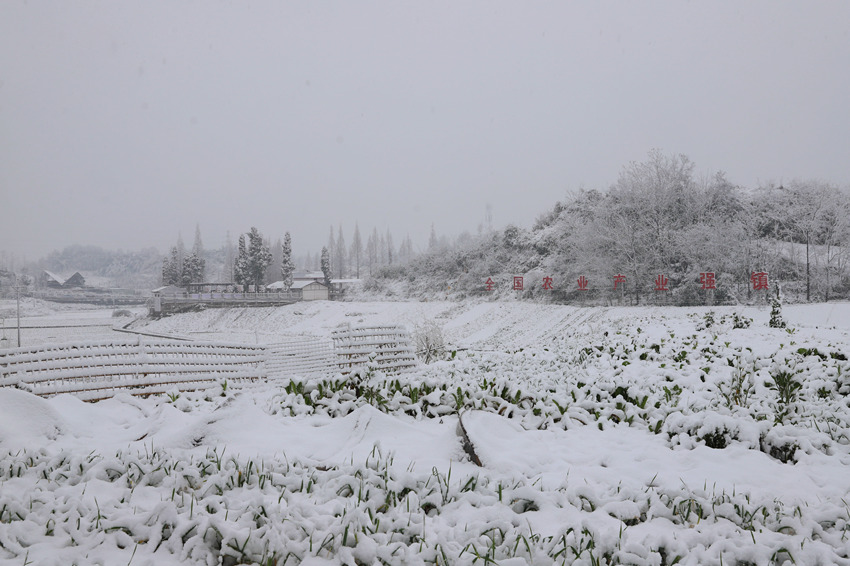 四川达州雪景图片