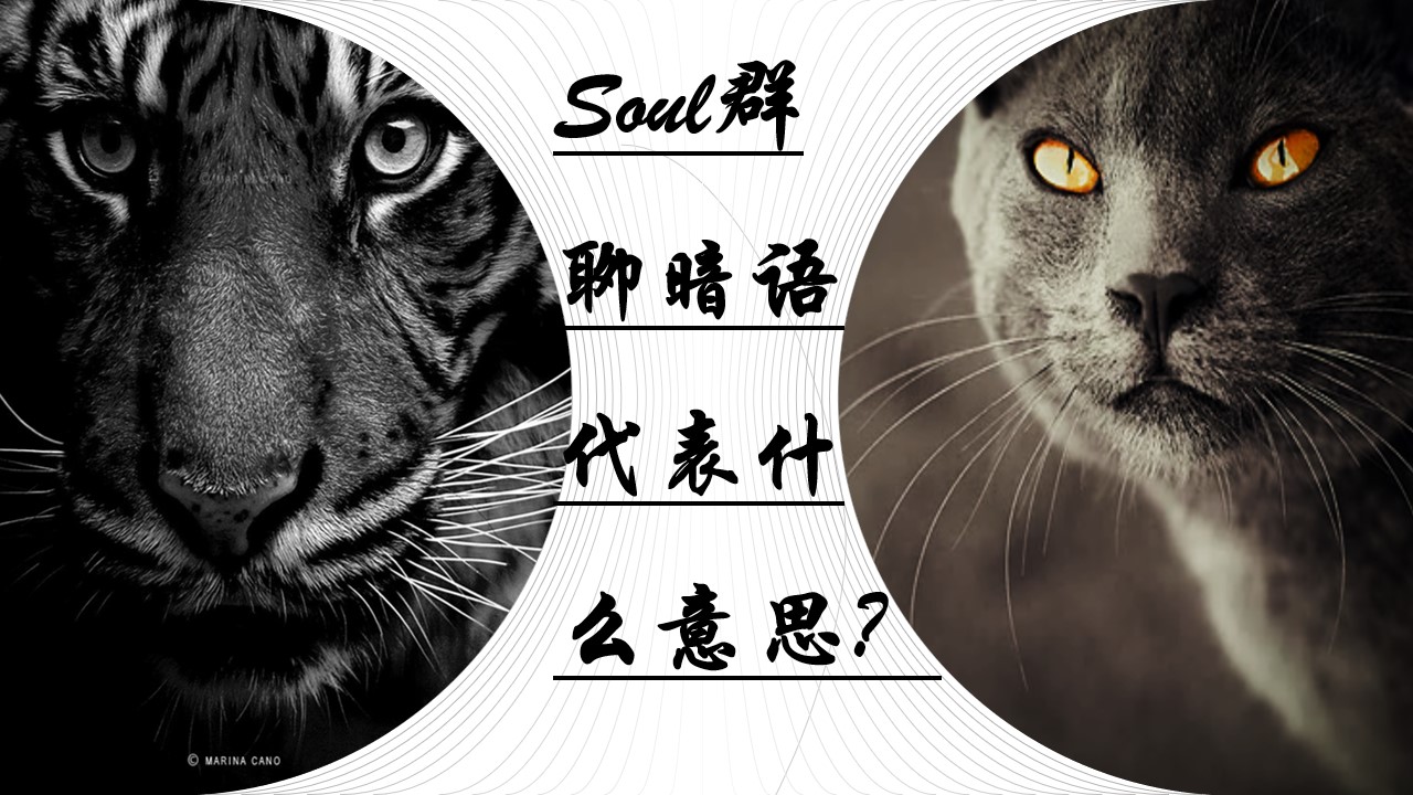 SOUL里面的暗语，soul里面的暗语ls是啥意思