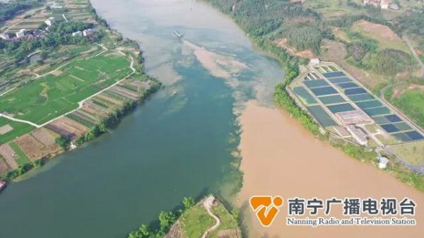 壮观!南宁三江口现"鸳鸯江"!