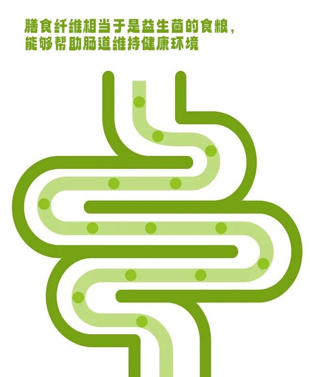 不可思议!人一生中要排出约11吨的大便,肠道健康要重视