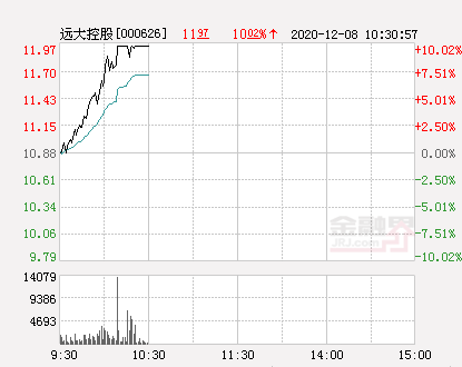 快訊:遠大控股漲停 報於11.97元-股票頻道-金融界