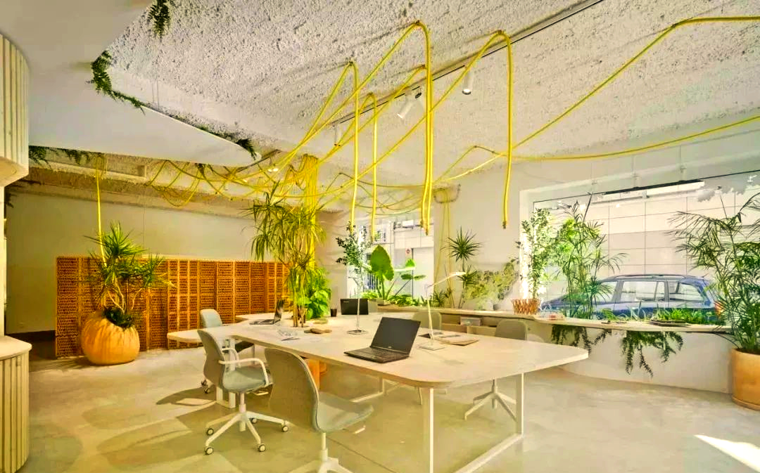 森系办公空间:打造愉悦轻松的办公氛围