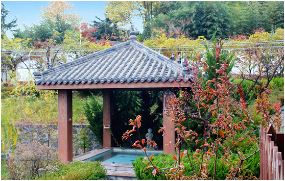 「超值特惠」磁山温泉3人门票 仅需168元!(需3人一同入园)