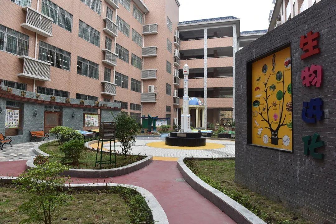 江门市紫茶小学图片