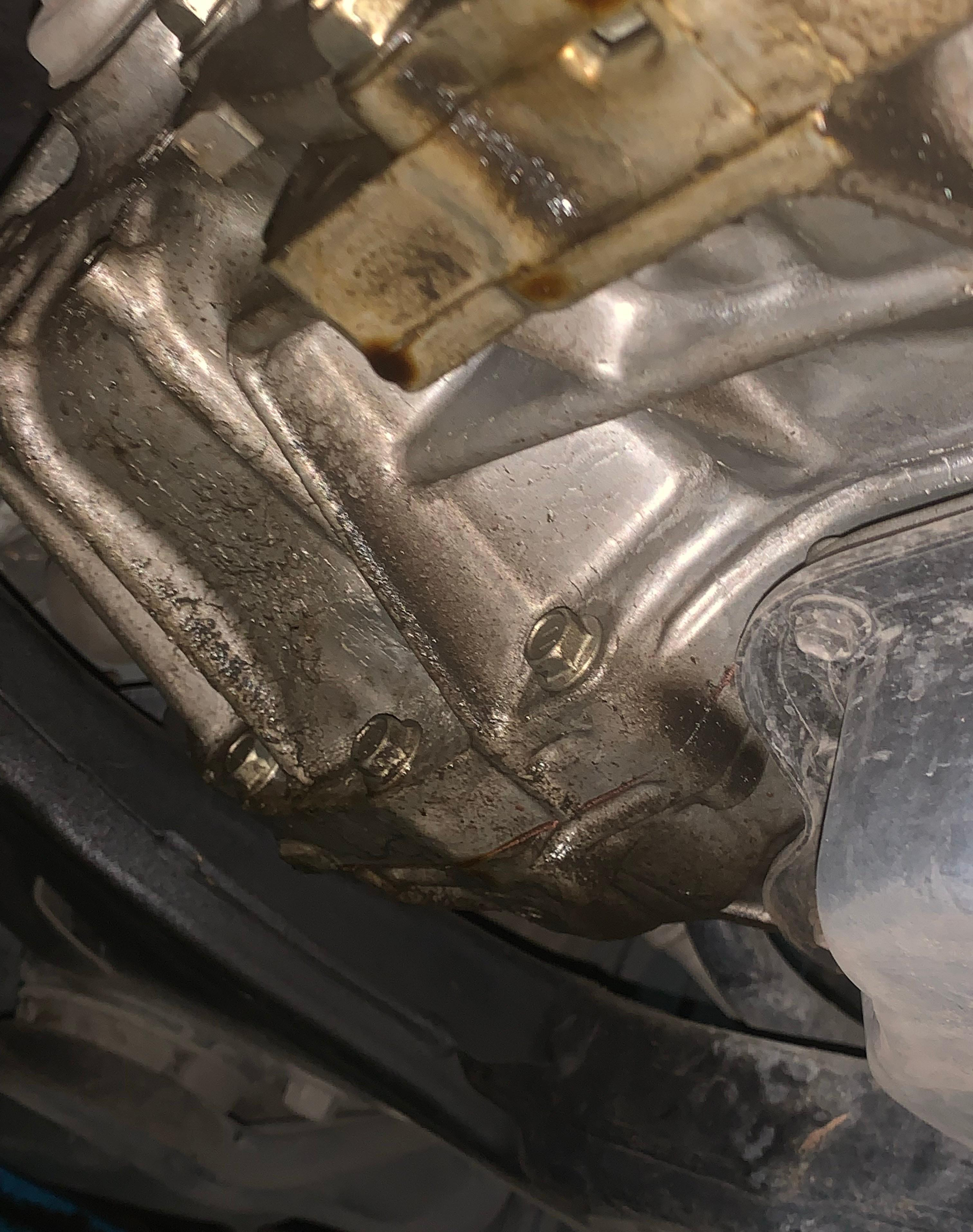 Ret¨¦n trasero de aceite del cig¨¹enal