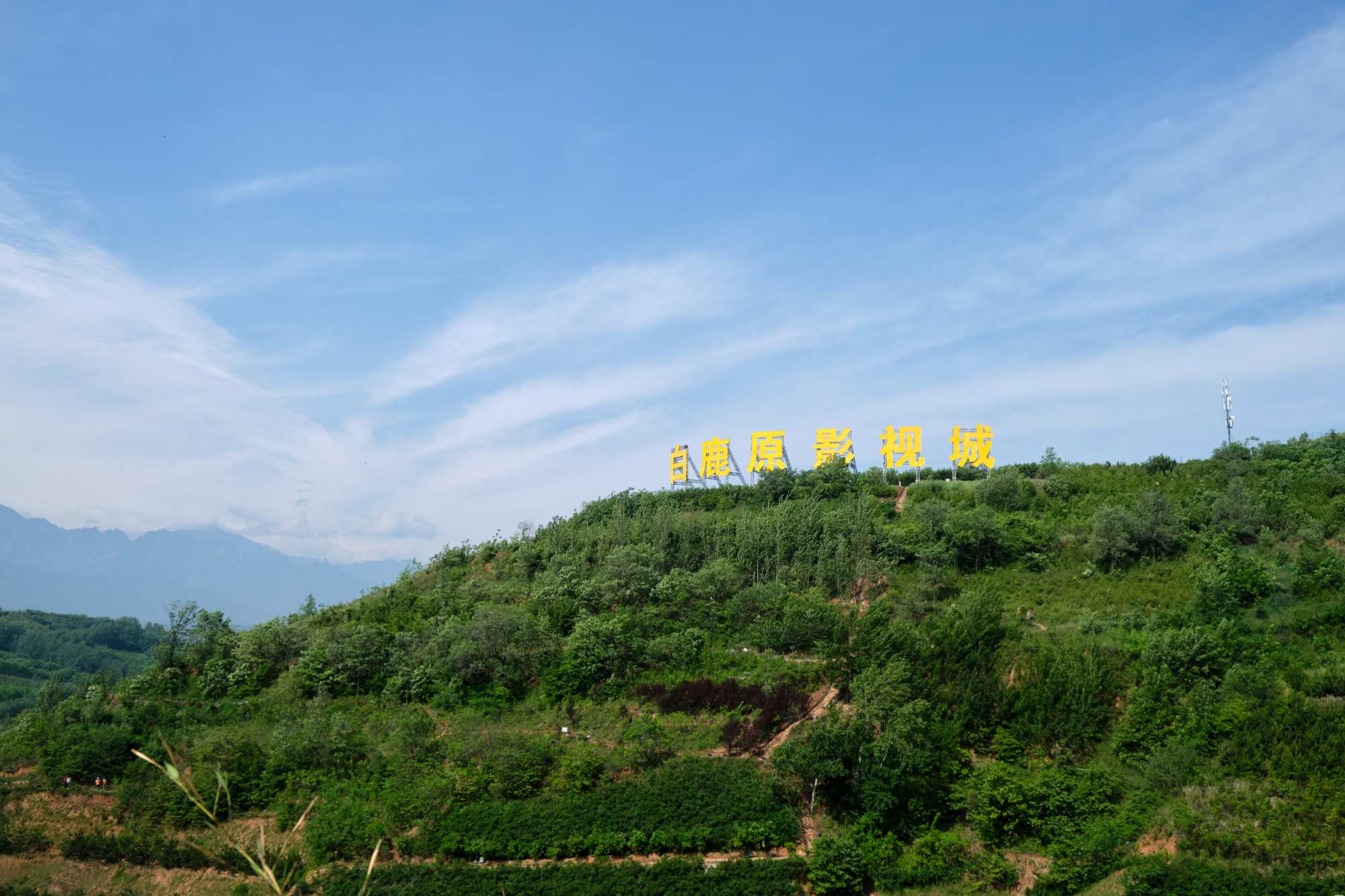 白鹿原