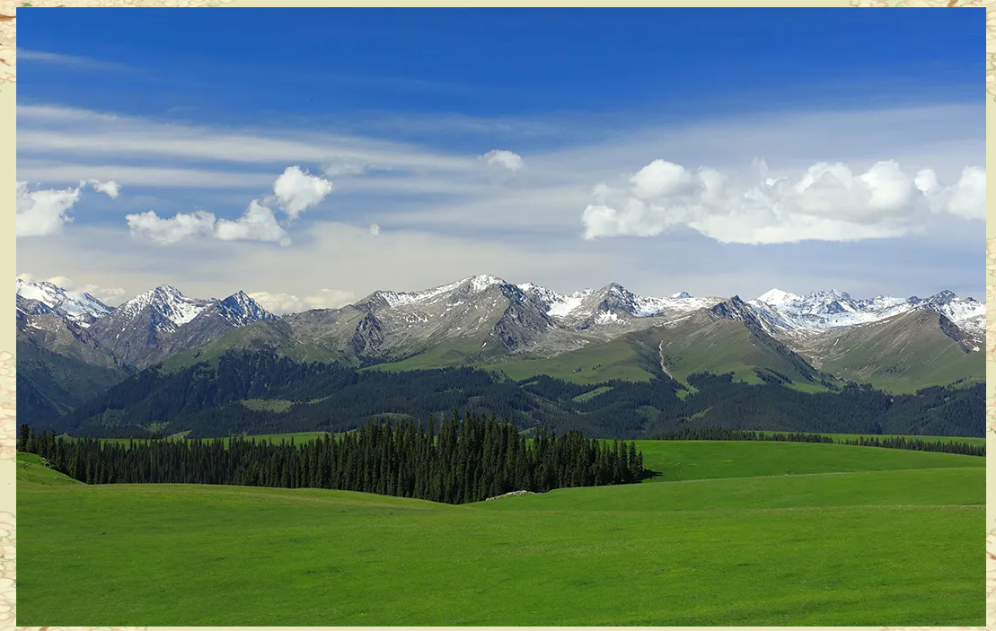 鲍尔吉·原野:探寻大自然中的生命智慧