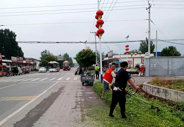 河南新乡辉县市薄壁镇实现"绿亮美"乡村环境美如画