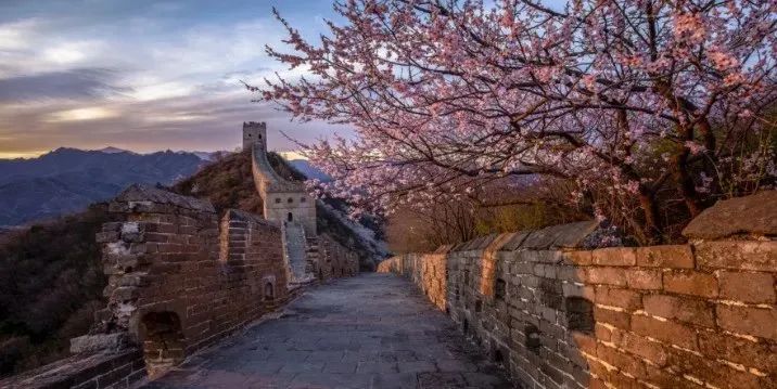 张家口市经开区春季户外踏春之旅线路图:王家寨踏青赏花游→樱桃红了