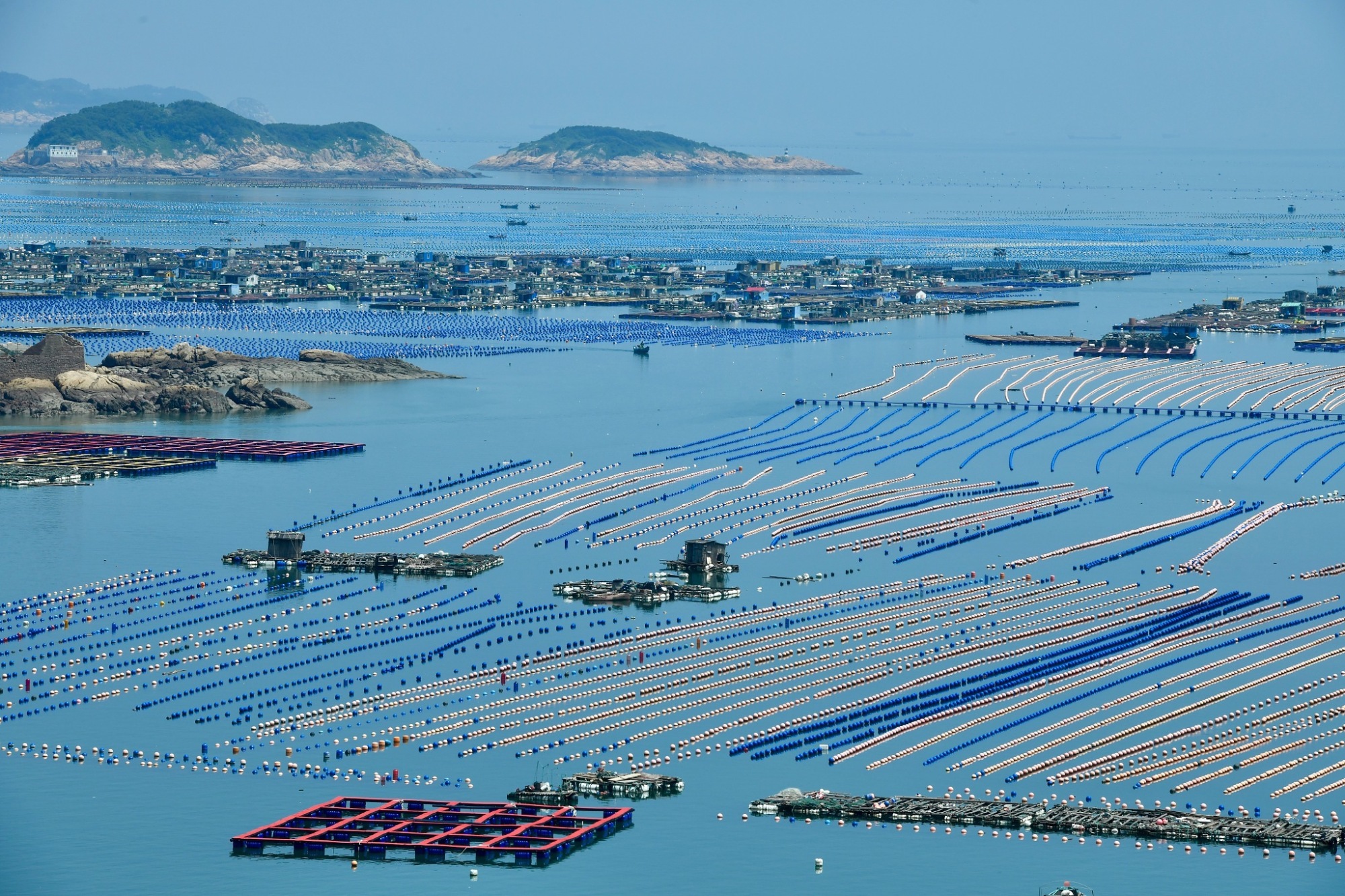 黄岛海洋牧场图片