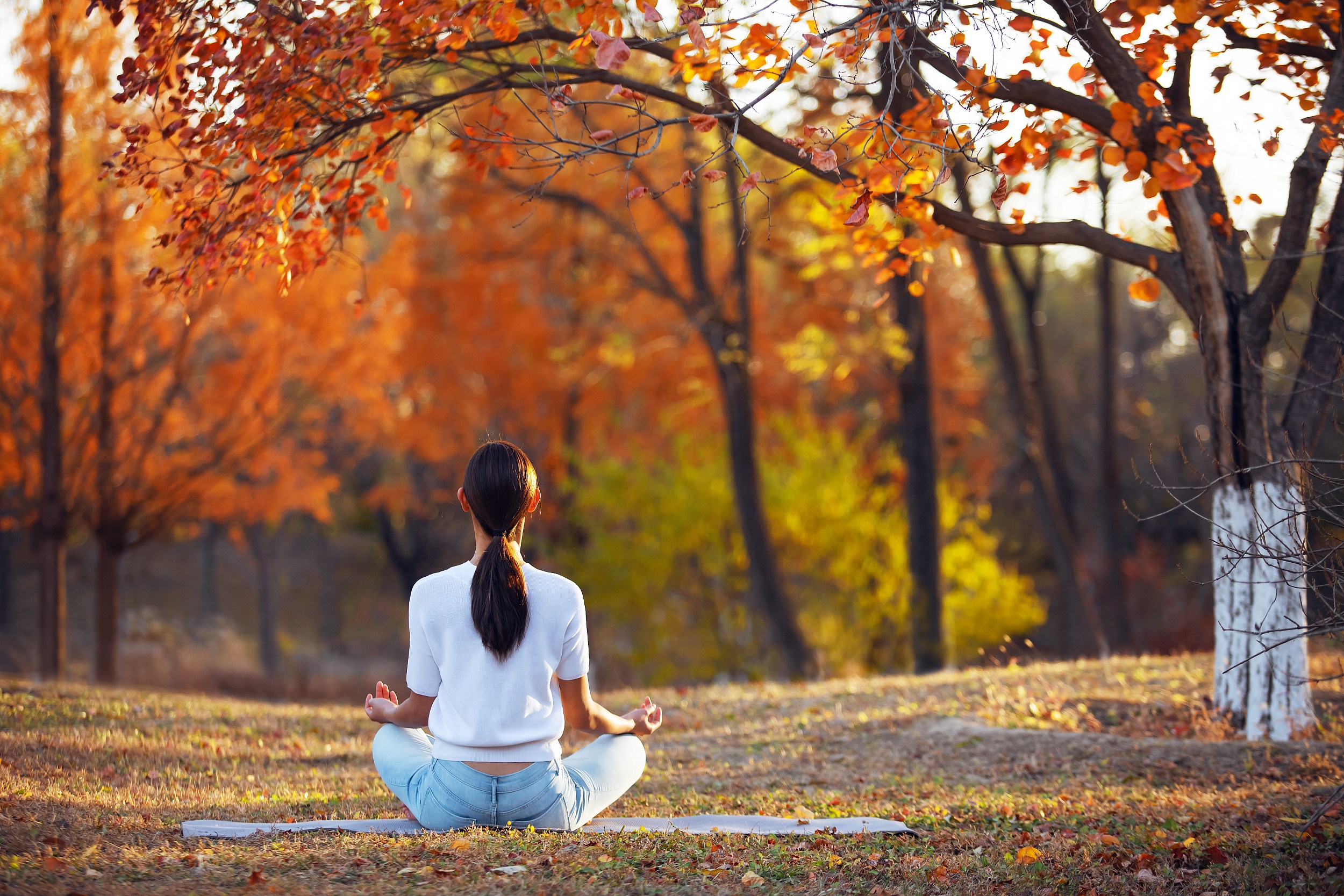 大厂裸辞入局"身心灵",打着"疗愈"旗号掏空年轻人的口袋?