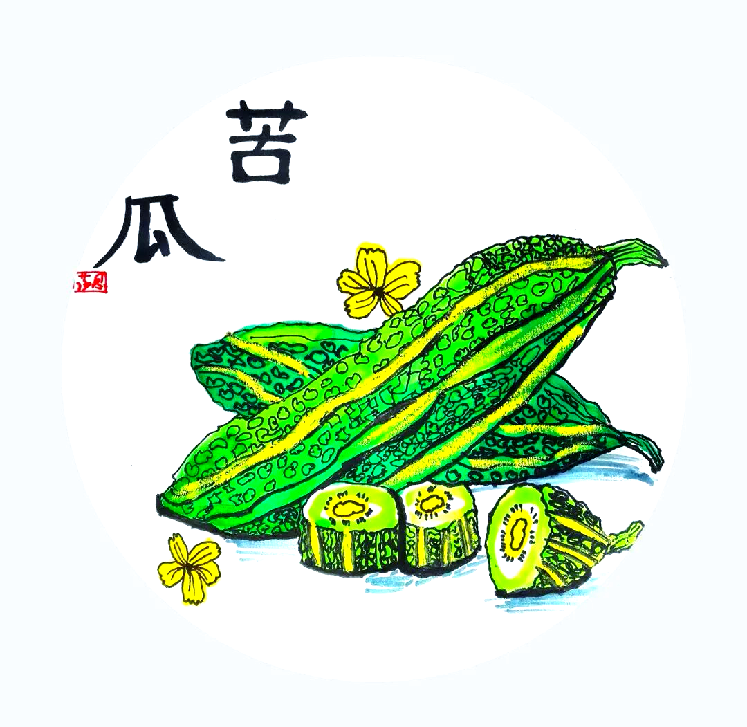 探索苦瓜魅力:外观,苦味与艺术表现