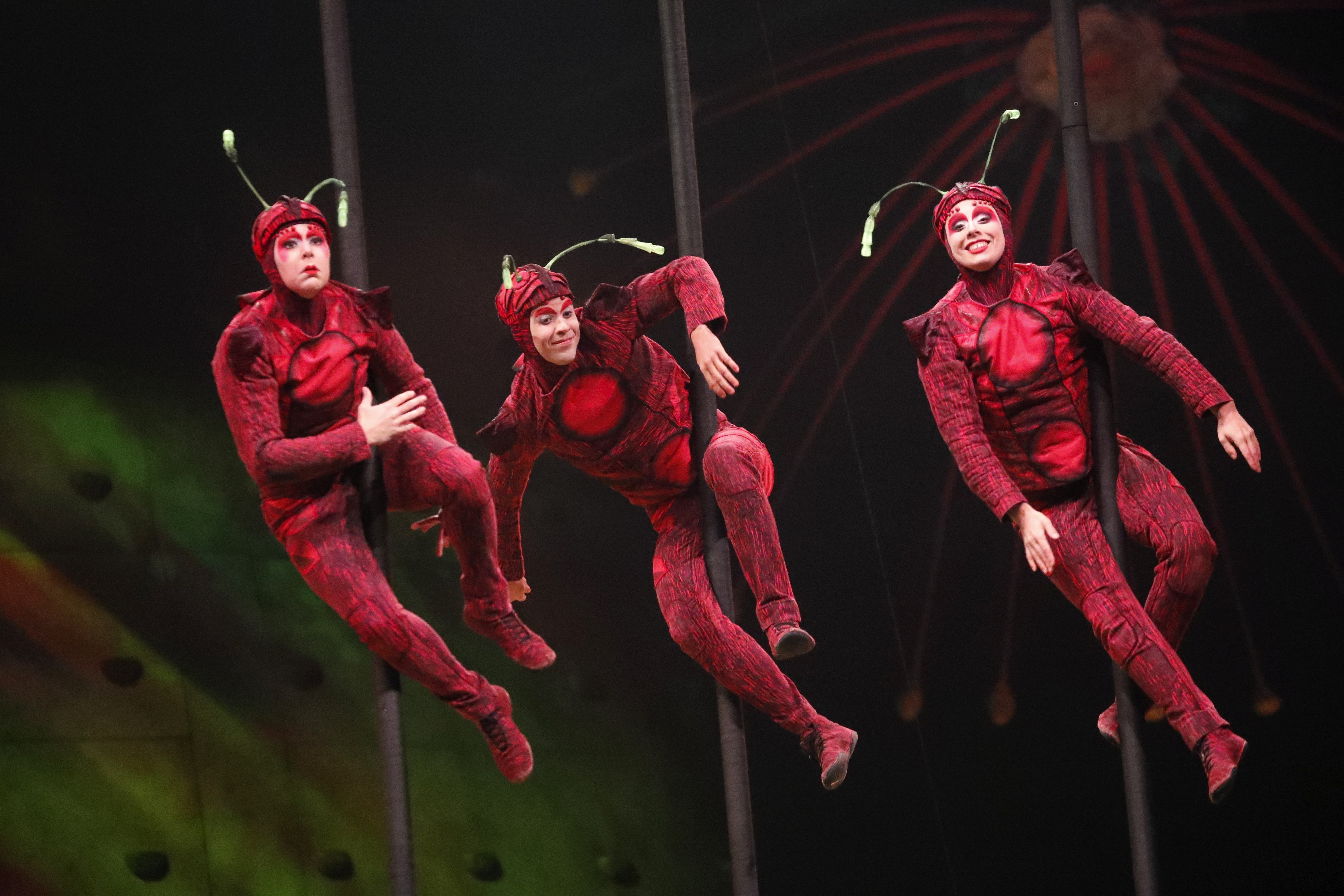 太阳马戏团在里加演出《ovo》