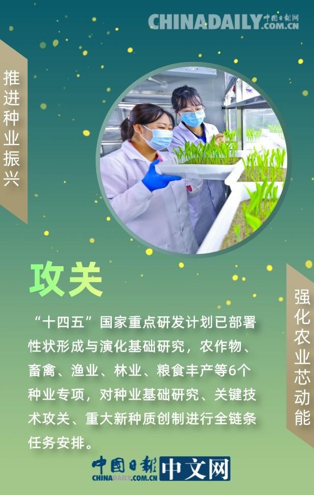 「图说中国经济」推进种业振兴 强化农业"芯"动能