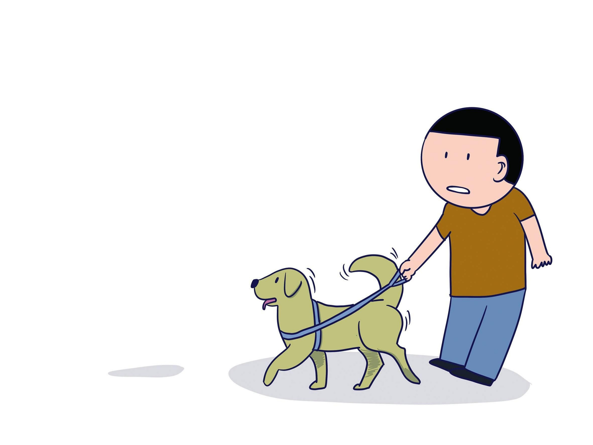 如何选牵引绳?如何正确遛狗?这里面知识真不少