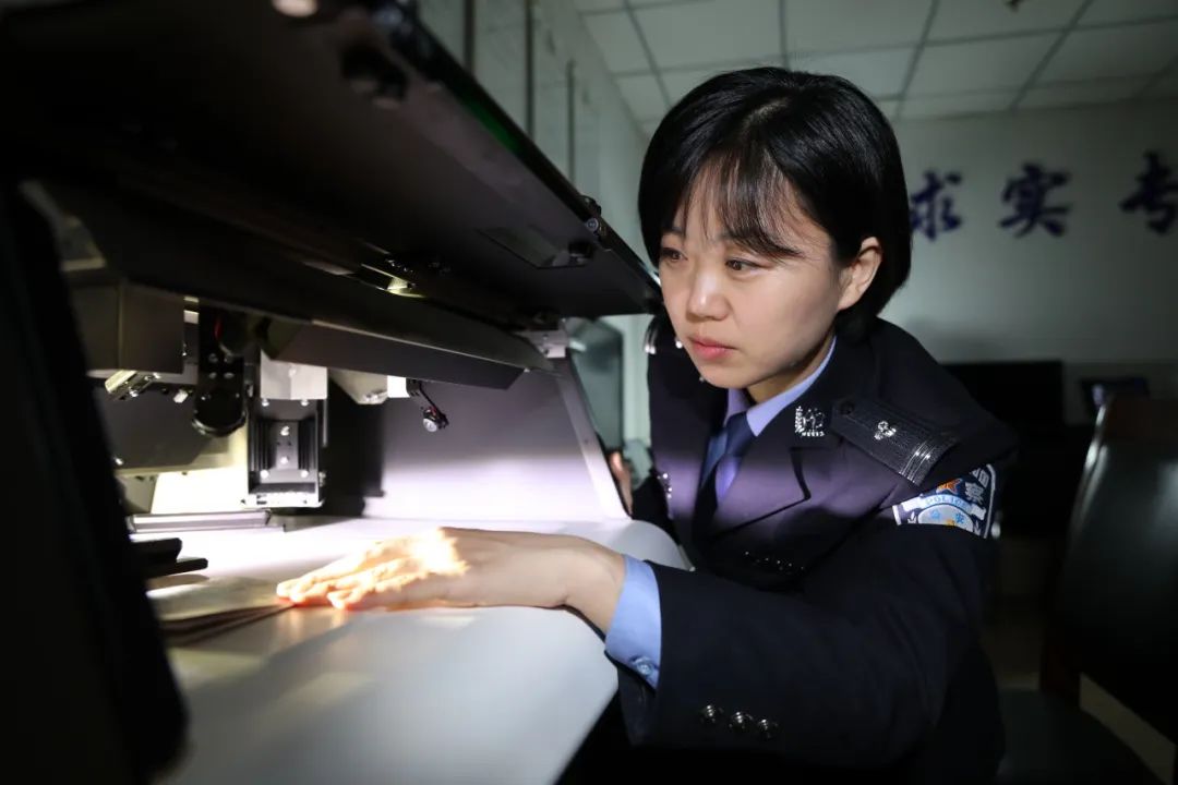 怎么也飞不出花花的世界