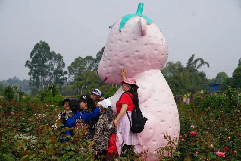 「乐山」新农民伍志坚:百亩玫瑰园绽放 观光农业"红"似火