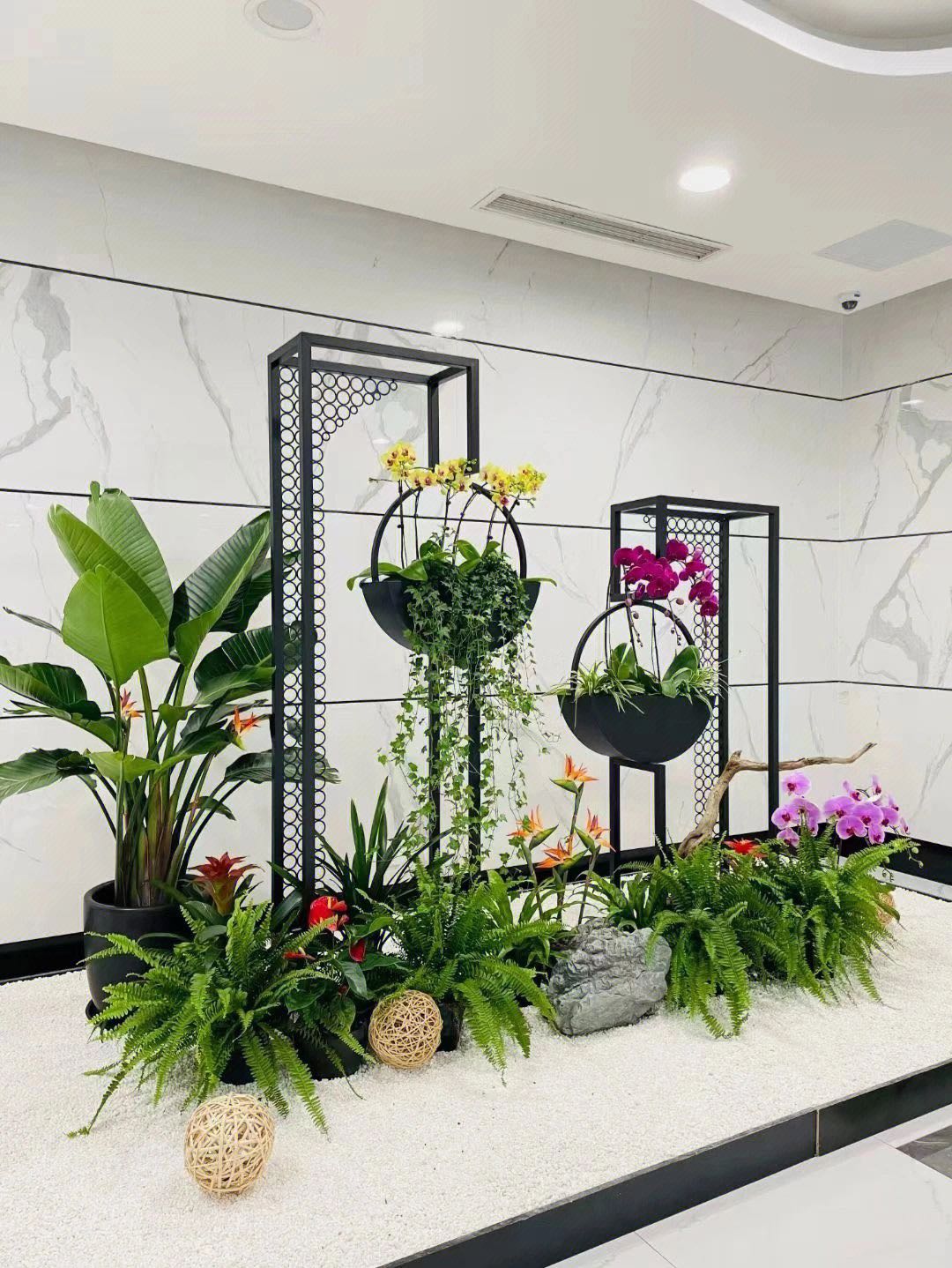 中山市平价的办公室绿植花卉租赁公司