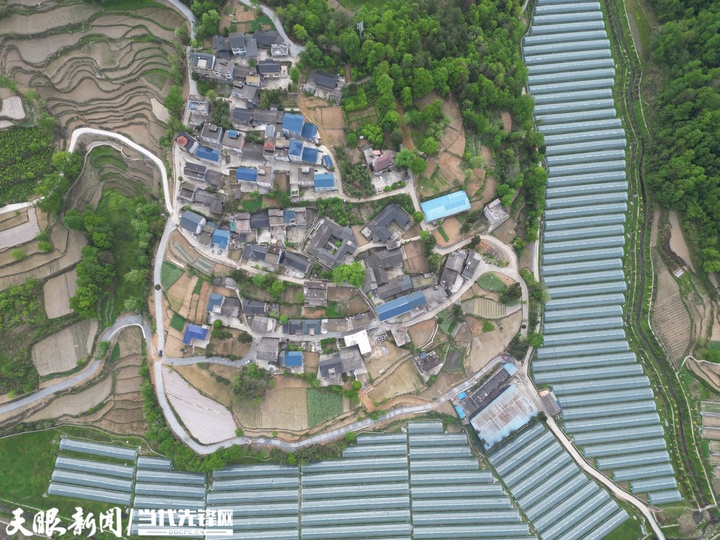 务川分水镇:农研融合打造学训分水新业态