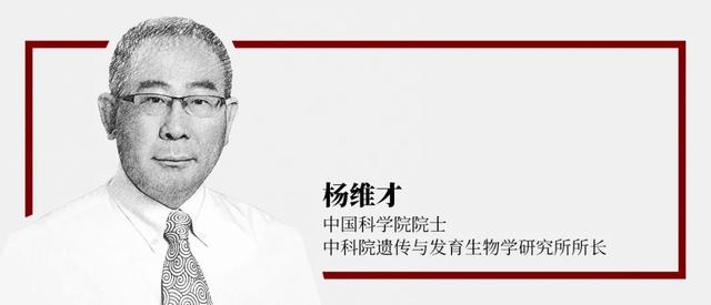 中国科学院院士杨维才:一起开展酒业种子创新