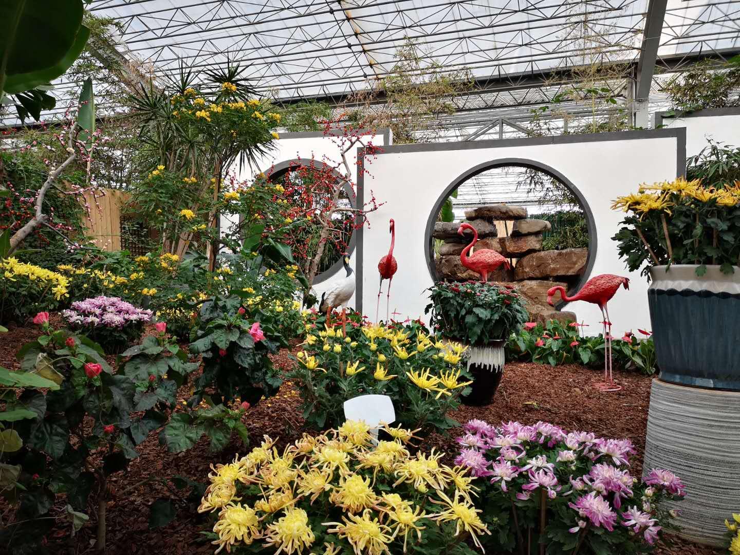 第20届中国(青州)花卉博览交易会隆重开幕