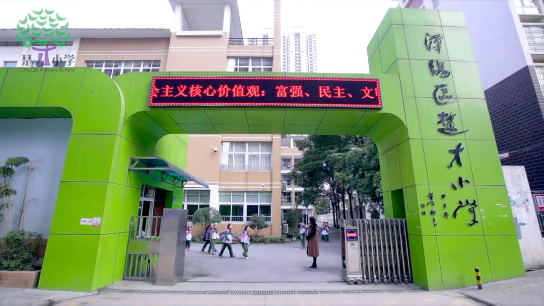 汉阳楚才小学图片