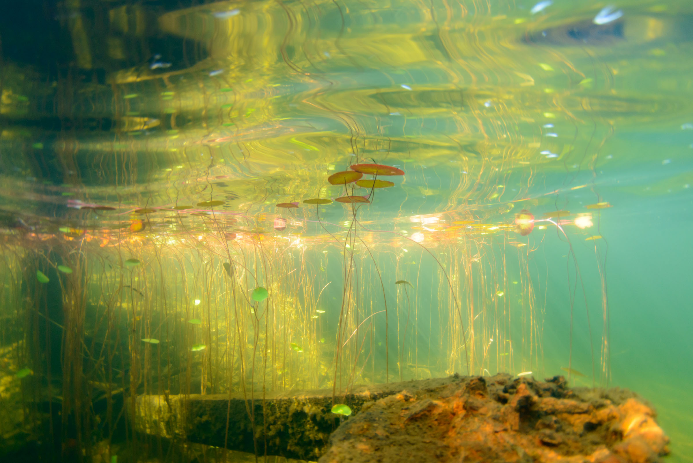 随县徐家塆抽水蓄能电站预可行性研究进入勘察设计