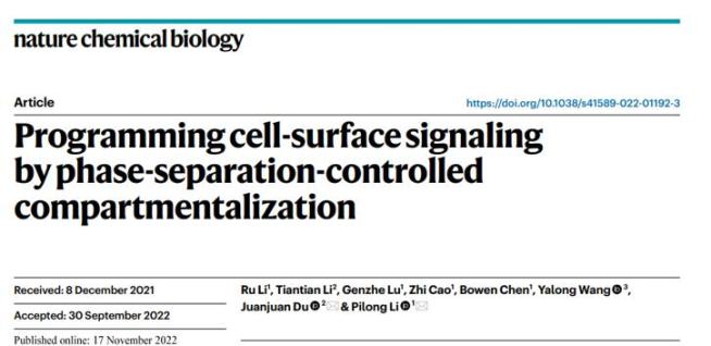 【科技前沿】李丕龙/杜娟娟课题组合作开发相分离"仿生"蛋白体系