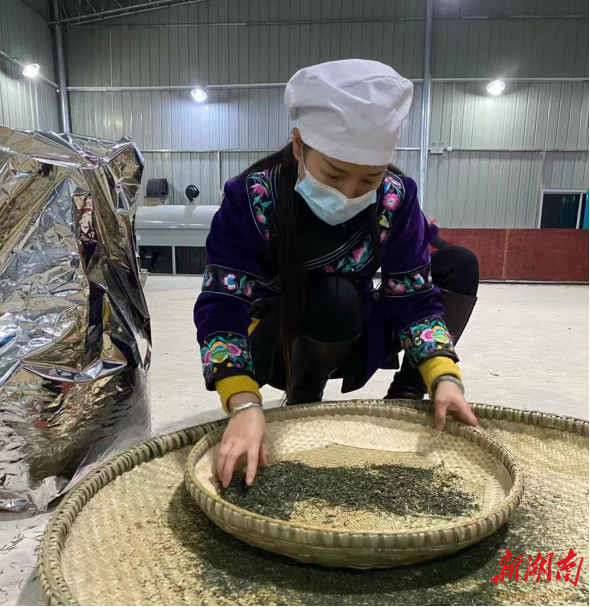 书写振兴乡村的"岩头"故事——古丈县岩头寨镇做活"昼夜"经济促进高